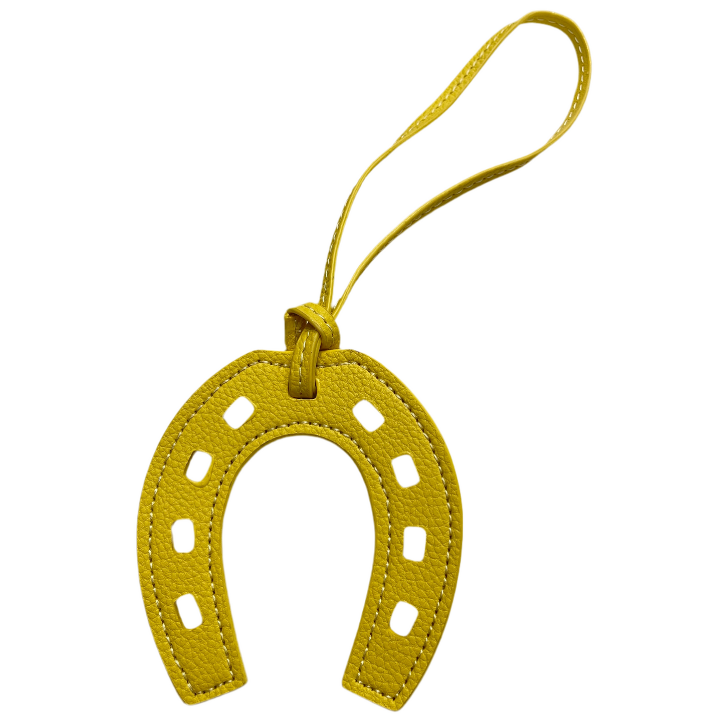Horseshoe Charm